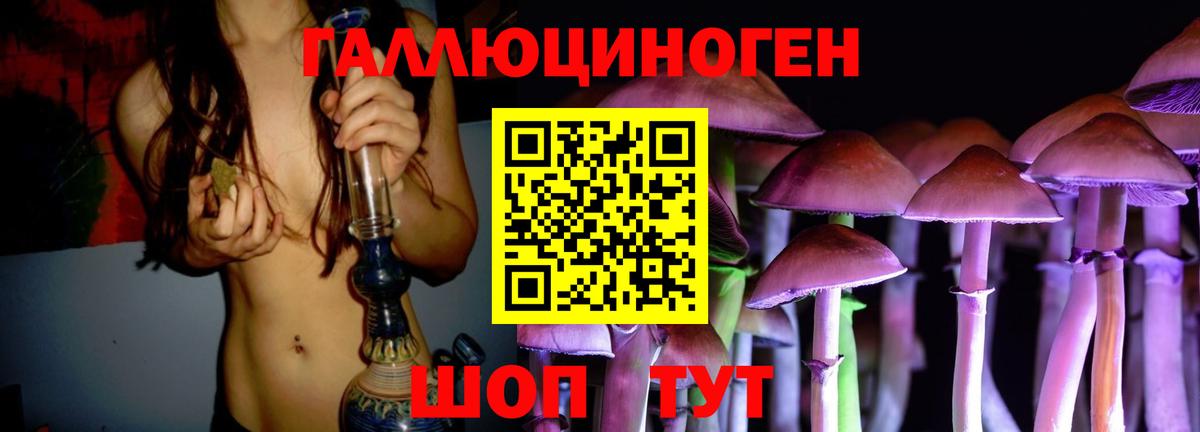 Галлюциногенные грибы GOLDEN TEACHER  Псилоцибиновые грибы ЛСД  Хабаровск  цены наркотик  Вход с VPN 