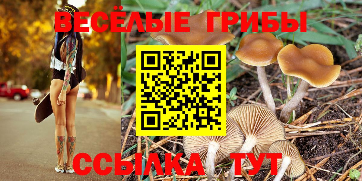 Галлюциногенные грибы мухоморы Хабаровск